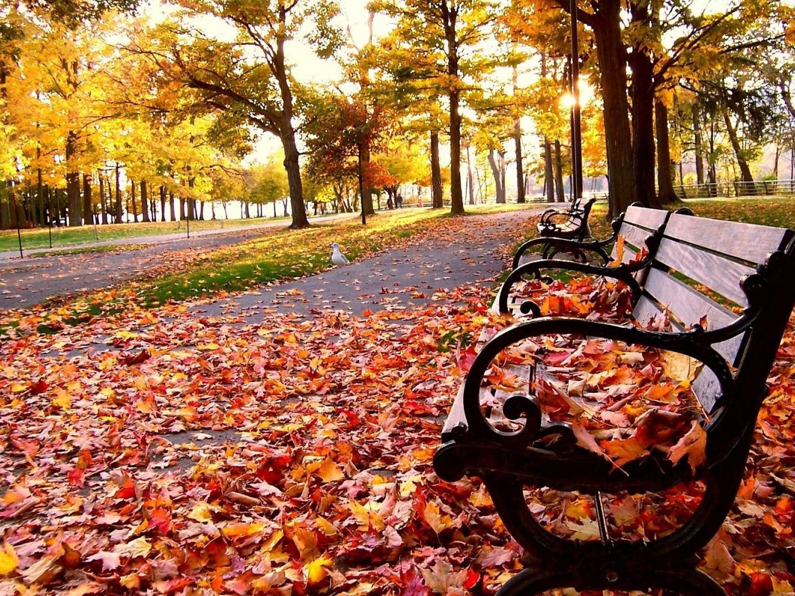 Leaf It To Me: 7 Cool Tips for Fall