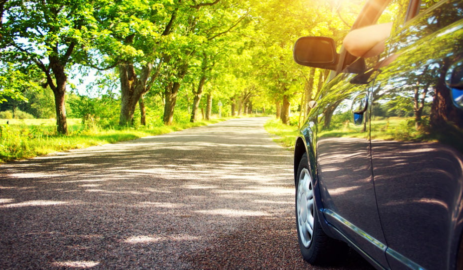 6 Spring Driving Safety Tips